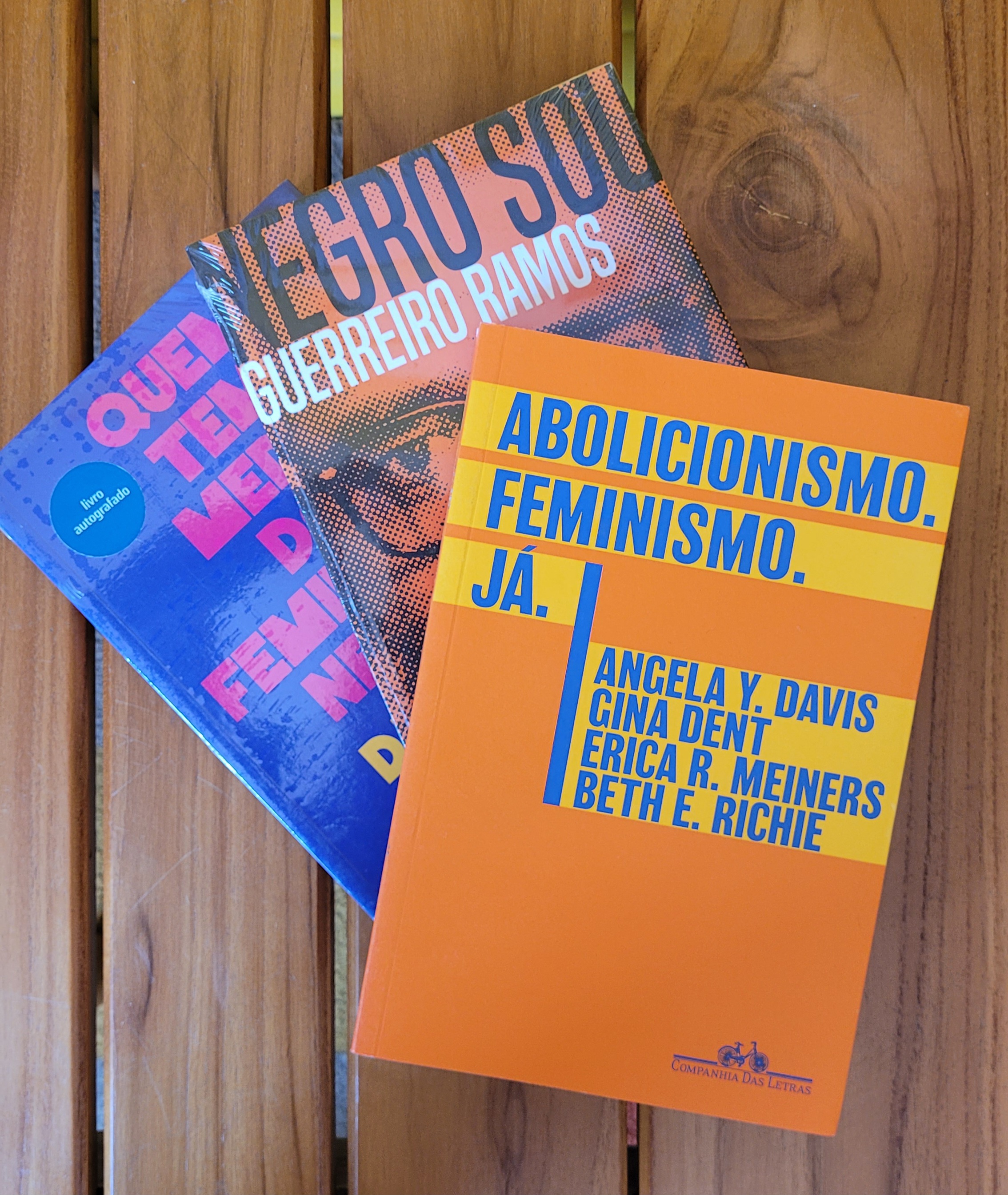 IRifa Combo Livros Antirracistas Adultos